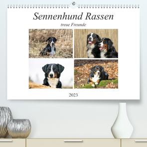 Sennenhund Rassen (Premium, hochwertiger DIN A2 Wandkalender 2023, Kunstdruck in Hochglanz) von SchnelleWelten