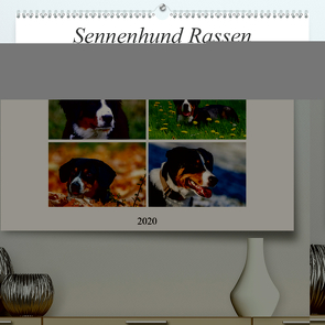 Sennenhund Rassen (Premium, hochwertiger DIN A2 Wandkalender 2020, Kunstdruck in Hochglanz) von SchnelleWelten
