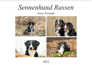 Sennenhund Rassen (Wandkalender 2023 DIN A2 quer) von SchnelleWelten