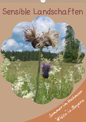 Sensible Landschaften , Sommer im Hochmoor (Wandkalender 2019 DIN A3 hoch) von Munir