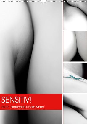 Sensitiv! Erotisches für die Sinne (Wandkalender 2019 DIN A3 hoch) von Marten,  Martina