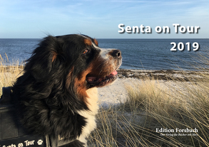 Senta on Tour 2019 – Fotokalender DIN A5 von Forsbach,  Beate