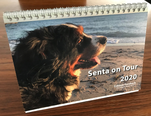 Senta on Tour 2020 – Fotokalender DIN A5 von Forsbach,  Beate
