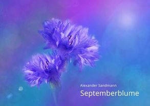 Septemberblume von Kalder,  Tobias