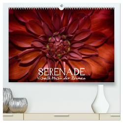 Serenade – Visuelle Musik der Blumen (hochwertiger Premium Wandkalender 2024 DIN A2 quer), Kunstdruck in Hochglanz von Photon,  Vronja