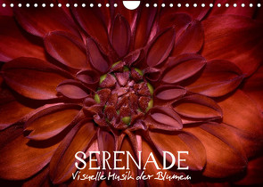 Serenade – Visuelle Musik der Blumen (Wandkalender 2023 DIN A4 quer) von Photon,  Vronja