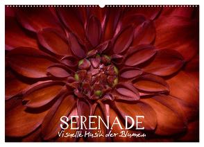 Serenade – Visuelle Musik der Blumen (Wandkalender 2024 DIN A2 quer), CALVENDO Monatskalender von Photon,  Vronja