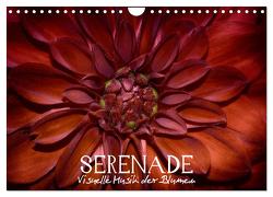 Serenade – Visuelle Musik der Blumen (Wandkalender 2024 DIN A4 quer), CALVENDO Monatskalender von Photon,  Vronja