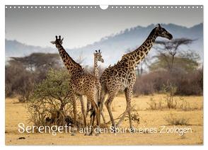Serengeti – auf den Spuren eines Zoologen (Wandkalender 2024 DIN A3 quer), CALVENDO Monatskalender von Maaß,  Jürgen