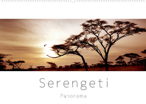 Serengeti Panorama (Wandkalender 2023 DIN A2 quer) von visuell photography,  studio