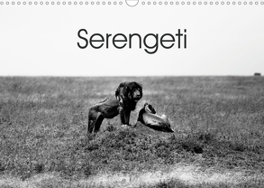 Serengeti – Tansanias Nationalpark in schwarz-weiß (Wandkalender 2020 DIN A3 quer) von #michaelsnapshot