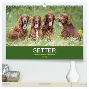 Setter – Geliebter Freund und Jagdkamerad (hochwertiger Premium Wandkalender 2024 DIN A2 quer), Kunstdruck in Hochglanz von Mayer Tierfotografie,  Andrea