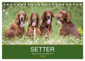 Setter – Geliebter Freund und Jagdkamerad (Tischkalender 2024 DIN A5 quer), CALVENDO Monatskalender von Mayer Tierfotografie,  Andrea