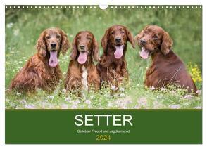 Setter – Geliebter Freund und Jagdkamerad (Wandkalender 2024 DIN A3 quer), CALVENDO Monatskalender von Mayer Tierfotografie,  Andrea