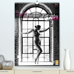 Sexy PinUp-Kalender 2023 (Premium, hochwertiger DIN A2 Wandkalender 2023, Kunstdruck in Hochglanz) von DREAMPIXX