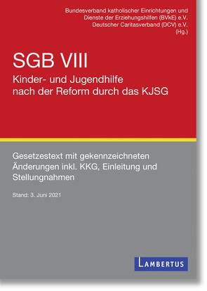 SGB VIII – Kinder- und Jugendhilfe nach der Reform durch das KJSG von BVKE, Deutscher Caritasverband e. V.