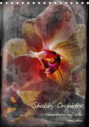 Shabby – Orchidee, Interpretation auf alten Fotoplatten (Tischkalender 2018 DIN A5 hoch) von Renken,  Erwin