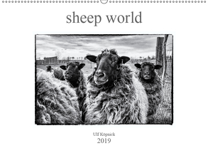 sheep world (Wandkalender 2019 DIN A2 quer) von Köpnick,  Ulf