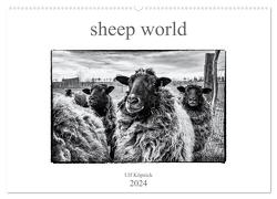 sheep world (Wandkalender 2024 DIN A2 quer), CALVENDO Monatskalender von Köpnick,  Ulf