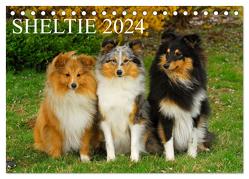 Sheltie 2024 (Tischkalender 2024 DIN A5 quer), CALVENDO Monatskalender von Starick,  Sigrid