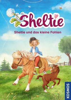 Sheltie – Sheltie und das kleine Fohlen von unbekannt,  noch