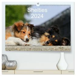 Shelties 2024 (hochwertiger Premium Wandkalender 2024 DIN A2 quer), Kunstdruck in Hochglanz von Reiß-Seibert,  Marion