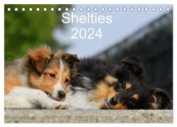 Shelties 2024 (Tischkalender 2024 DIN A5 quer), CALVENDO Monatskalender von Reiß-Seibert,  Marion