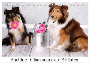 Shelties : Charmeure auf 4 Pfoten (Tischkalender 2024 DIN A5 quer), CALVENDO Monatskalender von Reiß-Seibert,  Marion
