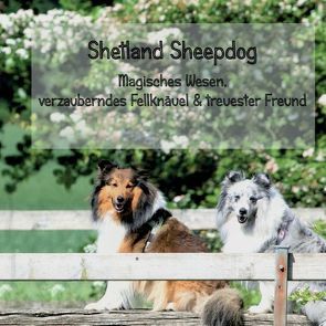 Shetland Sheepdog – Magisches Wesen, bezauberndes Fellknäuel und treuster Freund von Steuerwald,  Sissi