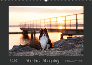 Shetland Sheepdogs Blacky, Anry, Mojo 2020 (Wandkalender 2020 DIN A2 quer) von Kudla,  Madlen