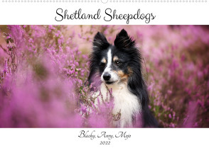Shetland Sheepdogs Blacky, Anry, Mojo 2022 (Wandkalender 2022 DIN A2 quer) von Kudla,  Madlen