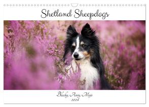 Shetland Sheepdogs Blacky, Anry, Mojo 2024 (Wandkalender 2024 DIN A3 quer), CALVENDO Monatskalender von Kudla,  Madlen