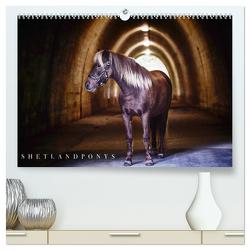 Shetlandpony Kalender (hochwertiger Premium Wandkalender 2024 DIN A2 quer), Kunstdruck in Hochglanz von D. Fotografie,  Nina