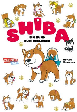 Shiba – Ein Hund zum Verlieben von Gericke,  Martin, Muroyama,  Mayumi