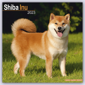 Shiba Inu 2023 – 16-Monatskalender