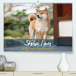 Shiba Inu – mutig, treu, selbstbewusst (Premium, hochwertiger DIN A2 Wandkalender 2021, Kunstdruck in Hochglanz) von Photography,  Tamashinu