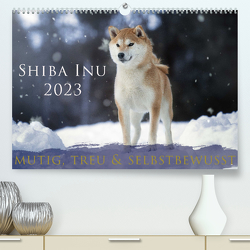Shiba Inu – mutig, treu, selbstbewusst (Premium, hochwertiger DIN A2 Wandkalender 2023, Kunstdruck in Hochglanz) von Photography,  Tamashinu