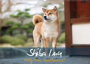 Shiba Inu – mutig, treu, selbstbewusst (Wandkalender 2021 DIN A2 quer) von Photography,  Tamashinu