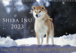Shiba Inu – mutig, treu, selbstbewusst (Wandkalender 2023 DIN A3 quer) von Photography,  Tamashinu