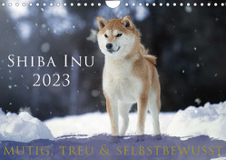 Shiba Inu – mutig, treu, selbstbewusst (Wandkalender 2023 DIN A4 quer) von Photography,  Tamashinu