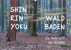 Shinrin yoku – Waldbaden 2019 (Wandkalender 2019 DIN A2 quer) von van der Wiel www.kalender-atelier.de,  Irma