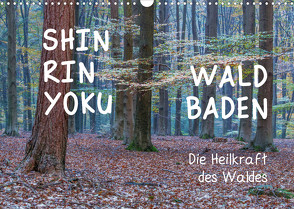 Shinrin yoku – Waldbaden 2023 (Wandkalender 2023 DIN A3 quer) von van der Wiel www.kalender-atelier.de,  Irma
