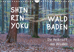 Shinrin yoku – Waldbaden 2023 (Wandkalender 2023 DIN A4 quer) von van der Wiel www.kalender-atelier.de,  Irma