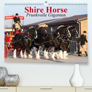 Shire Horse • Prunkvolle Giganten (Premium, hochwertiger DIN A2 Wandkalender 2020, Kunstdruck in Hochglanz) von Stanzer,  Elisabeth
