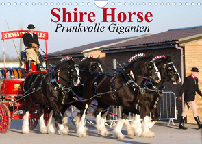 Shire Horse • Prunkvolle Giganten (Wandkalender 2022 DIN A4 quer) von Stanzer,  Elisabeth