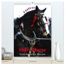Shire Horse – Geschmückte Riesen (hochwertiger Premium Wandkalender 2024 DIN A2 hoch), Kunstdruck in Hochglanz von Stanzer,  Elisabeth