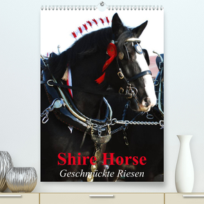 Shire Horse – Geschmückte Riesen (Premium, hochwertiger DIN A2 Wandkalender 2023, Kunstdruck in Hochglanz) von Stanzer,  Elisabeth