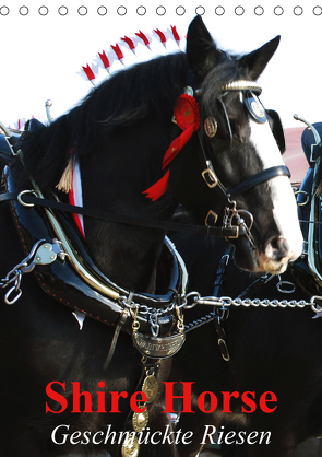 Shire Horse – Geschmückte Riesen (Tischkalender 2021 DIN A5 hoch) von Stanzer,  Elisabeth