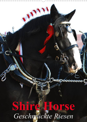 Shire Horse – Geschmückte Riesen (Wandkalender 2023 DIN A2 hoch) von Stanzer,  Elisabeth