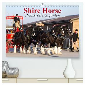 Shire Horse • Prunkvolle Giganten (hochwertiger Premium Wandkalender 2024 DIN A2 quer), Kunstdruck in Hochglanz von Stanzer,  Elisabeth